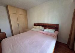 Blk 1 The Pinnacle@Duxton (Bukit Merah), HDB 4 Rooms #524619481